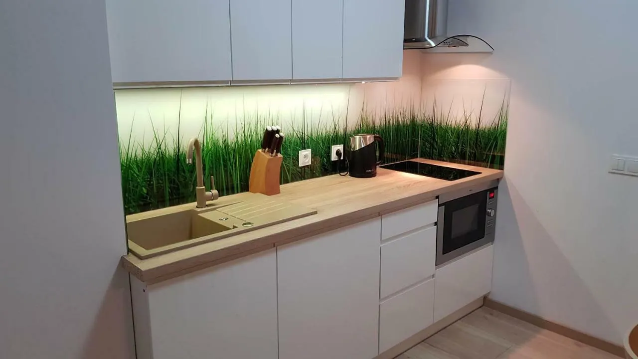 Apartamenty Nad Potokiem Zakopane Apartment